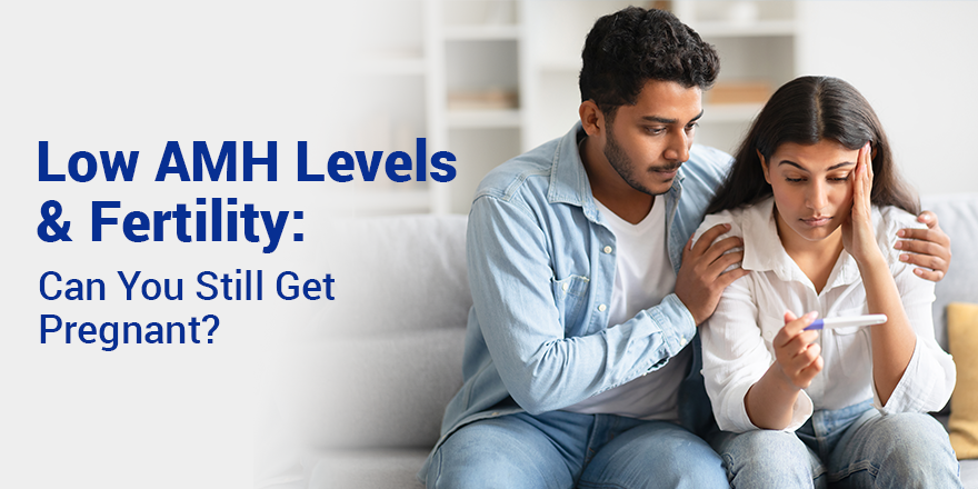 Low AMH Levels and Fertility: Can You Still Get Pregnant?